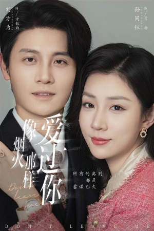 像烟火那样爱过你（62集）夸克在线观看