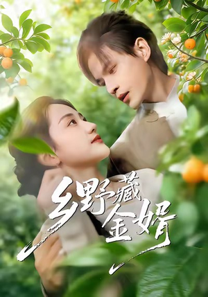 乡野藏金婿（50集）我全都看完了