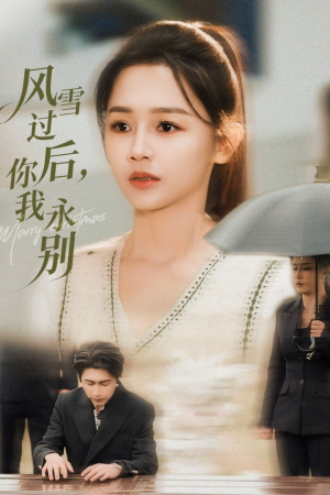 风雪过后你我永别（51集）好看短剧看不停