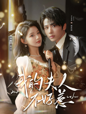 我的夫人不好惹(60集) 我的夫人不好惹(60集)免费版