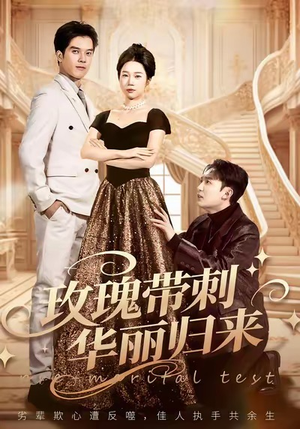 婚前测试他不配(83集) 婚前测试他不配(83集)精彩好看的短剧