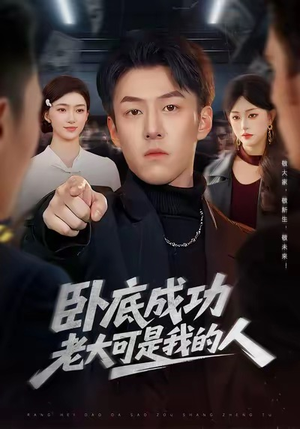 卧底成功老大可是我的人(99集) 卧底成功老大可是我的人(99集)好看的短剧分享