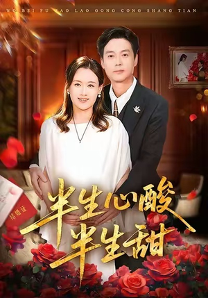 半生心酸半生甜（70集）热播短剧全集看