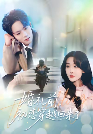 婚礼前初恋穿越回来了（100集）女主角是谁