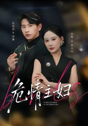 危情主妇（60集）在线看到大结局