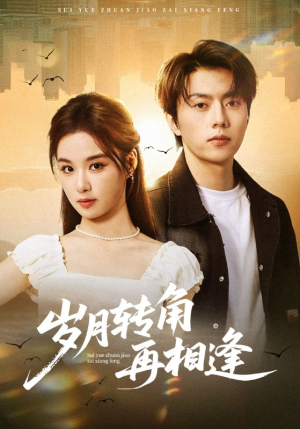 岁月转角再相逢（80集）短剧有好货推荐