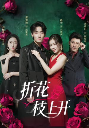 折花枝上开(51集) 折花枝上开(51集)简直不要太好看