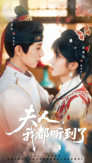 夫人,我都听到了(100集) 夫人,我都听到了(100集)1-102集