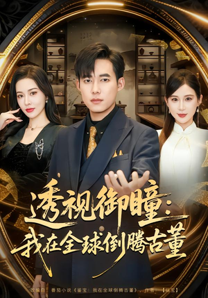 透视御瞳：我在全球倒腾古董（80集）全集下载