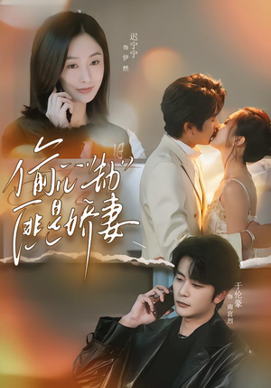 偷“心”劫匪是娇妻（61集）短剧全集免费