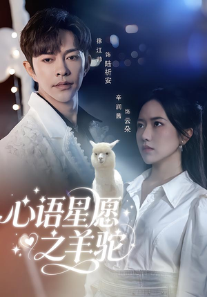 心语星愿之羊驼（60集）高分佳作免费看