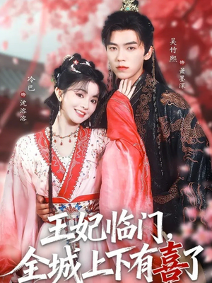 王妃临门全城上下有喜了（66集）全剧免费观看