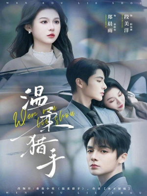 温柔猎手(77集) 温柔猎手(77集)1-102集