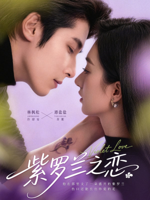 紫罗兰之恋(82集) 紫罗兰之恋(82集)免费看全集