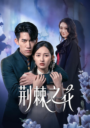 荆棘之花(100集) 荆棘之花(100集)精彩短剧天天看