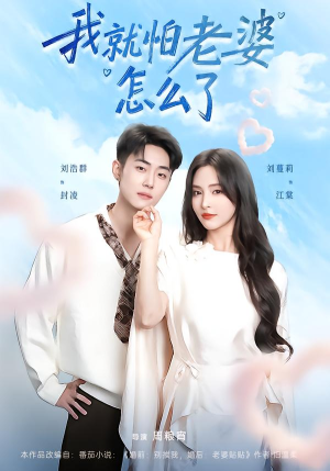 我就怕老婆怎么了(88集) 我就怕老婆怎么了(88集)真的好看吗