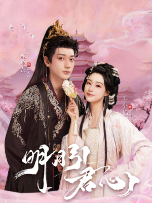 明月引君心（74集）大结局