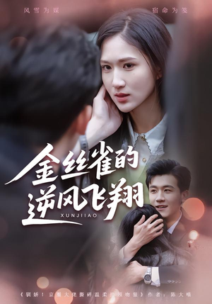 金丝雀的逆风飞翔(80集) 金丝雀的逆风飞翔(80集)短剧推荐更新中