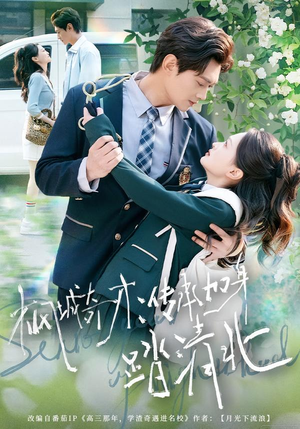 枫城奇才：传承加身踏清北（80集）在哪个平台看好