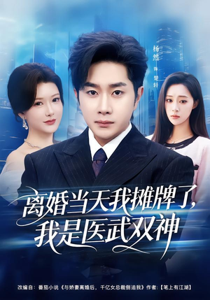 离婚当天我摊牌了,我是医武双神(80集) 离婚当天我摊牌了,我是医武双神(80集)精彩好看短剧