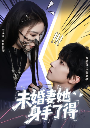 未婚妻她身手了得（50集）演的怎么样
