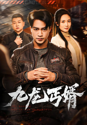 九龙丐婿(81集) 九龙丐婿(81集)热门短剧分享