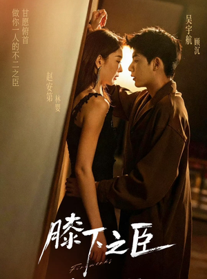 膝下之臣（56集）热播短剧来袭