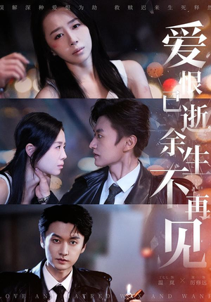 爱恨已逝，余生不再见（68集）热播短剧重燃