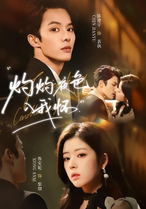 灼灼夜色入我怀（60集）让你一口气看完