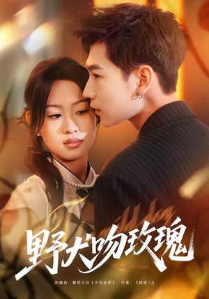 野犬吻玫瑰(70集) 野犬吻玫瑰(70集)最后的大结局