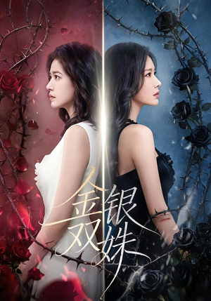 金银双姝（80集）海量资源免费看