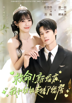 救命!新婚夜,我和姐姐走错了婚房(58集) 救命!新婚夜,我和姐姐走错了婚房(58集)深深爱上这部剧