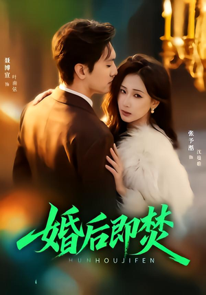 婚后即焚(77集) 婚后即焚(77集)百度网盘资源