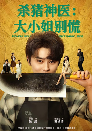 杀猪神医，大小姐别慌（80集）我全都看完了