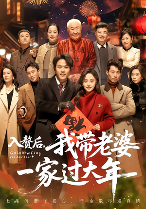 入赘后，我带老婆一家过大年（60集）短剧太上头了