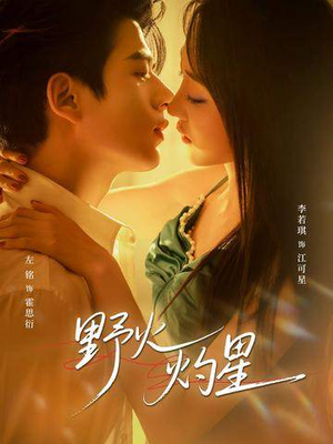 野火灼星(56集) 野火灼星(56集)无需会员轻松看