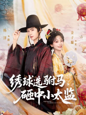 绣球选驸马，砸中小太监（81集）每日短剧追不停