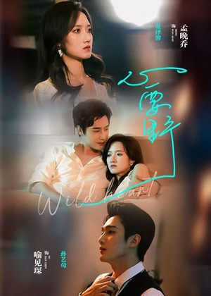 心要野（62集）哪个短剧网能看