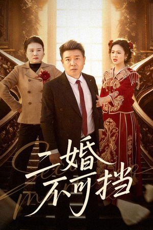 二婚不可挡(36集) 二婚不可挡(36集)更新时间一览表