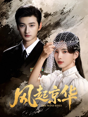 风Q京华(60集) 风Q京华(60集)热播短剧推荐