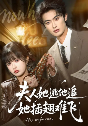 夫人她逃他追，她插翅难飞（101集）在哪个平台看好