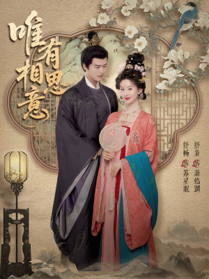 唯有相思意（100集）一起追生活短剧