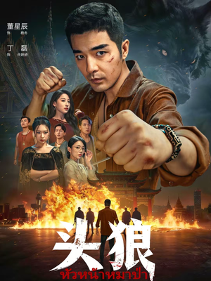 头狼(77集) 头狼(77集)短剧排行榜