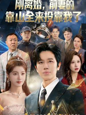 离婚，前妻的靠山全来投靠我了（80集）短剧分享剧集