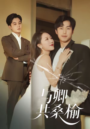 与卿共桑榆(63集) 与卿共桑榆(63集)热播短剧来袭