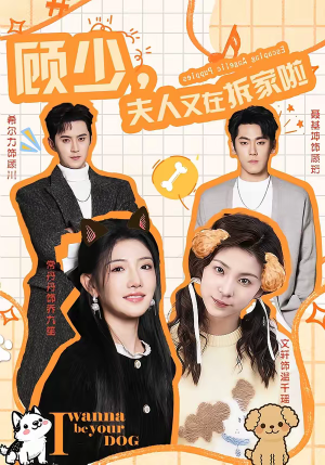 顾少,夫人又在拆家啦(78集) 顾少,夫人又在拆家啦(78集)短剧追到爽