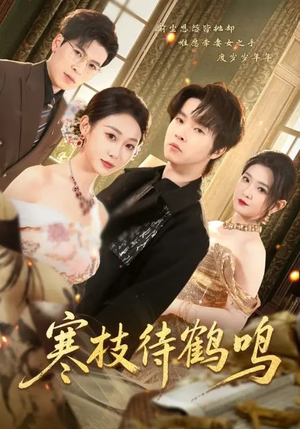 寒枝待鹤鸣（70集）网上可以看吗