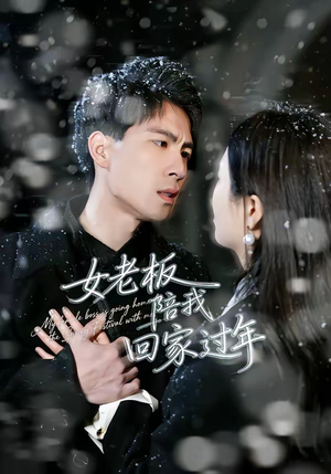 女老板陪我回家过年（40集）免费热门短剧
