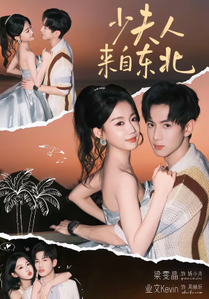 少夫人来自东北（80集）剧情简介