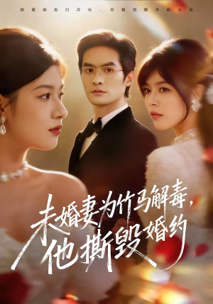 未婚妻为竹马解毒,他撕毁婚约(41集) 未婚妻为竹马解毒,他撕毁婚约(41集)第一季